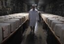 Ce lieu insolite où des milliers de fromages sont affinés dans le Cantal