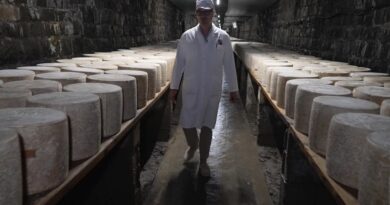 Ce lieu insolite où des milliers de fromages sont affinés dans le Cantal