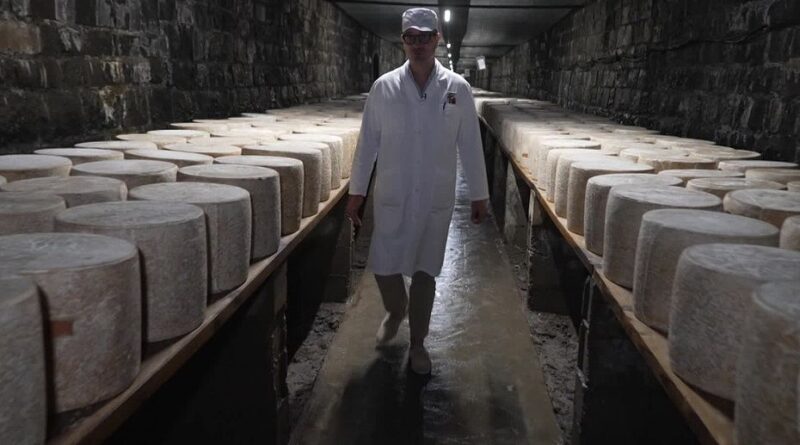 Ce lieu insolite où des milliers de fromages sont affinés dans le Cantal