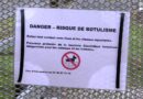 "Cela peut entraîner la mort chez les oiseaux ou les ragondins" : après des suspicions de botulisme, ce marais est sous surveillance