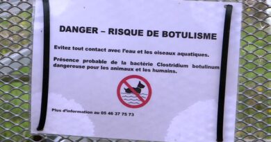 "Cela peut entraîner la mort chez les oiseaux ou les ragondins" : après des suspicions de botulisme, ce marais est sous surveillance