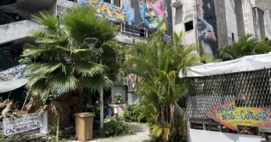 Centre des Arts : les artistes relogés à Morne Vergain, mais l'âme du lieu reste à trouver