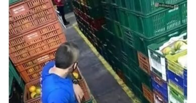 Certi sò più qualificati cà l'altri 😅