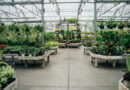 C'est ce qu'il faut absolument planter avant l'arrivée de l'automne pour réussir à coup sûr