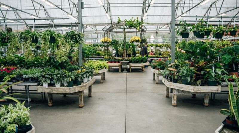 C'est ce qu'il faut absolument planter avant l'arrivée de l'automne pour réussir à coup sûr