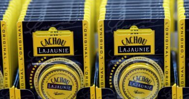 "C'est injuste qu'un produit aussi emblématique disparaisse" : Un tourangeau lance une pétition pour sauver le Cachou - ici