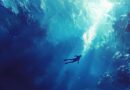 Cet homme est resté 29 minutes sous l’eau sans respirer : mais comment a-t-il fait pour tenir ?