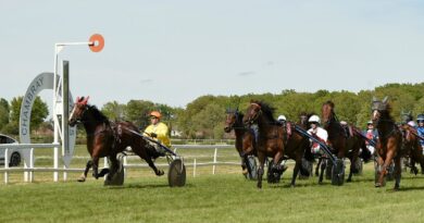 Chambray-lès-Tours : une nouvelle session de courses hippiques ce dimanche 7 septembre à l'hippodrome - ici