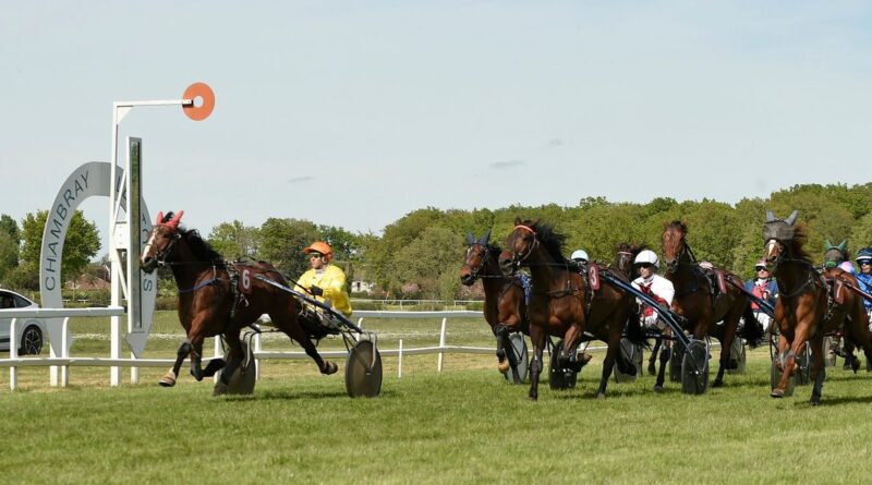 Chambray-lès-Tours : une nouvelle session de courses hippiques ce dimanche 7 septembre à l'hippodrome - ici