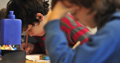"Changer l’enseignement des maths: Peut-on s’inspirer de l’école allemande ? " (theconversation.com) - Le blog de Dom