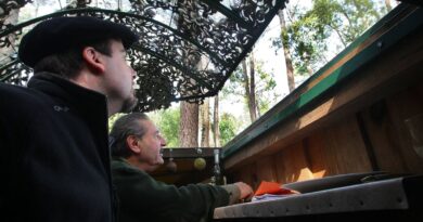 Chasse à la palombe aux filets : l'association One Voice saisit le Conseil d'Etat pour faire interdire cette pratique  - ici