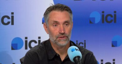 Chasse à la palombe aux filets : "on prend la menace très au sérieux" réagit la fédération des chasseurs des Landes - ici