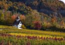 Grand Est, Strasbourg, Reims, vineyard, Alsace, Vosges, forest, cathedral, village