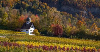 Grand Est, Strasbourg, Reims, vineyard, Alsace, Vosges, forest, cathedral, village