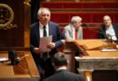 Chute du gouvernement Bayrou : comment ont voté vos députés en Centre-Val de Loire ?