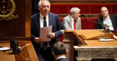 Chute du gouvernement Bayrou : comment ont voté vos députés en Centre-Val de Loire ?