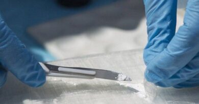 Cinq trafiquants de drogue présumés finalement libérés suite à "un vice de procédure"