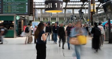 Circulation des TGV Paris-Lyon très perturbée à cause de vols de câbles, jusqu’à deux heures de retard