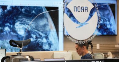 Climat : contre Trump, des scientifiques créent un site pour sauvegarder leurs recherches