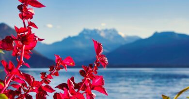 Switzerland, Alps, Matterhorn, lake, mountains, Swiss flag, Geneva