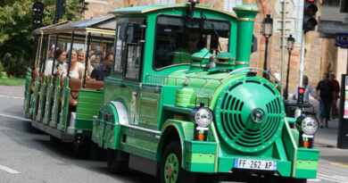 Colmar. Les petits trains touristiques verts dans le viseur après l'accident ayant blessé un bébé