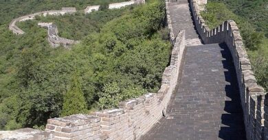 China,Beijing,Great Wall,Shanghai,Panda,Architecture,Asian culture,Landscape