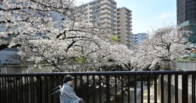 Comment le Japon a réussi à atteindre le nombre record de 100 000 centenaires ?