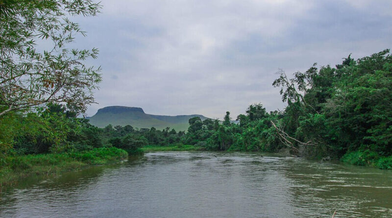 Congo-Brazzaville: une ONG écologiste alarme une nouvelle fois contre des futures exploitations pétrolières