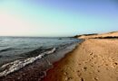 Nouvelle-Aquitaine, Bordeaux, Biarritz, dune, ocean, vineyard, forest, landscape