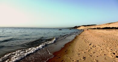 Nouvelle-Aquitaine, Bordeaux, Biarritz, dune, ocean, vineyard, forest, landscape