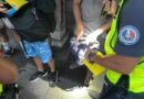 Contrôles antistupéfiants aux abords des établissements scolaires et sur la route