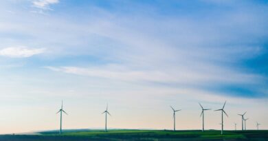 'Corporate capture' strategies harming environmental protection efforts, warn scientists