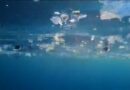 Corse : les microdéchets atteignent un niveau record en Méditerranée