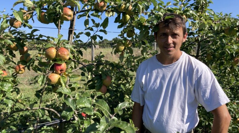 Côtes-d'Armor. Arbres fruitiers : comment les vergers du Trégor tirent leur épingle du jeu