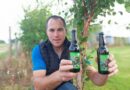 Damien vient de lancer sa première bière composée de sève de bouleau récoltée en Seine-Maritime