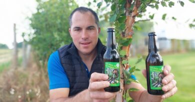 Damien vient de lancer sa première bière composée de sève de bouleau récoltée en Seine-Maritime
