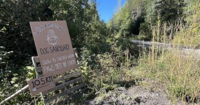 Un panneau indique le chemin vers le camp et le sanctuaire pour chiens de Teresa Brown.