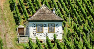 Occitanie, Toulouse, Montpellier, landscape, sea, mountain, vineyard, canal