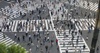 Démographie : chute de la population japonaise, augmentation de la population étrangère