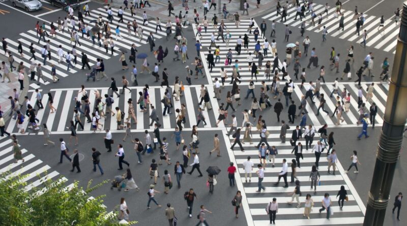 Démographie : chute de la population japonaise, augmentation de la population étrangère