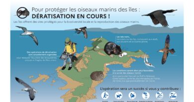 Dératisation en cours sur l'archipel des Sanguinaires - Grand Site des Îles Sanguinaires - Pointe de la Parata - Grand Site de France