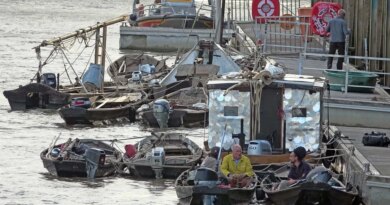 Des bateaux traditionnels remontent la Loire et ont fait étape à Nantes 
