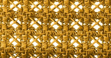 The structure of the material “from a distance” (Image: MIT)