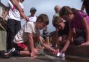 Des enfants imaginent leur "cour d'école de rêve" : la mairie le réalise et investit 200 000 euros