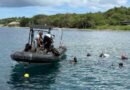 Des équipes de plongeurs récupèrent des dizaines de pneus dans les fonds marins lors d'une opération de dépollution à Saint-Pierre
