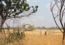 Des grains et des douilles. Comment les agriculteurs ukrainiens font leurs moissons - The Ukrainian Week - Actualités, reportages, analyses sur la vie en Ukraine