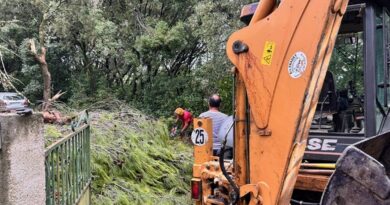 Des gros dégâts à Garrigues-Sainte-Eulalie : des arbres arrachés et des routes coupées