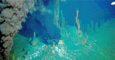 Des microplastiques et polluants éternels menacent les abysses
