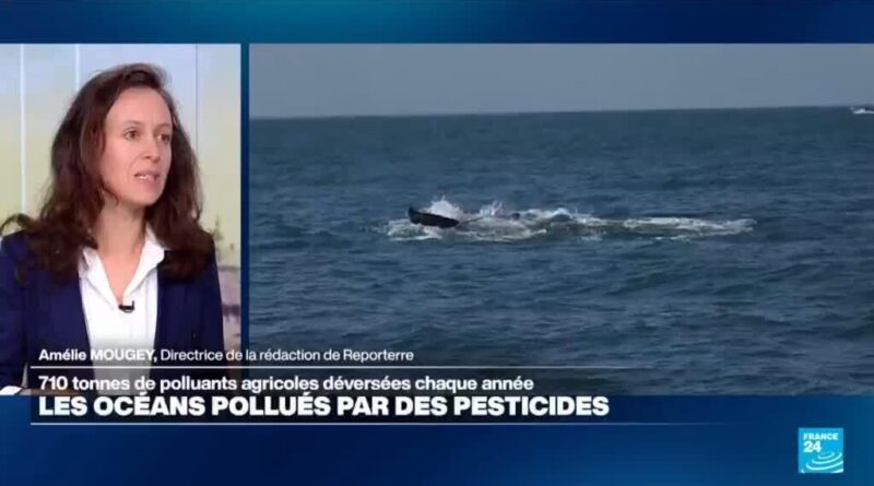Des pesticides jusqu'au fond des océans