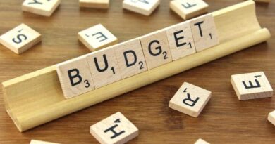 Budget, dette